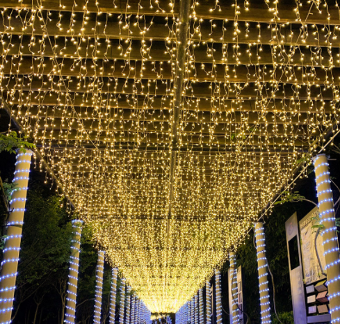 Fairy Lights-L5*H0.8 Meters
