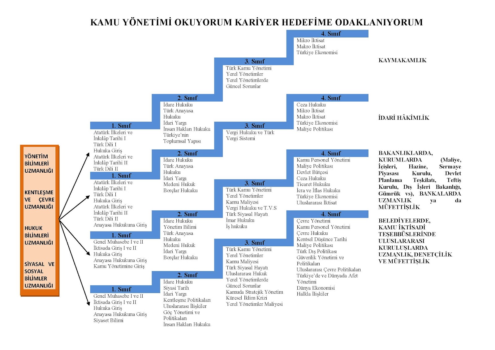 Kamu Yönetimi Bölümü Kariyer Basamakları