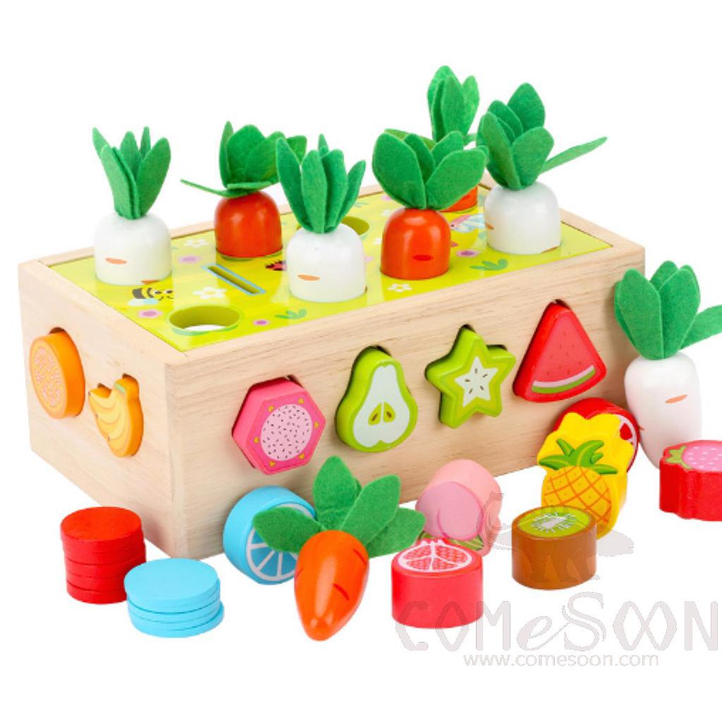 Pul Out Turnip Coin Block, L16*W21*H8.8cm