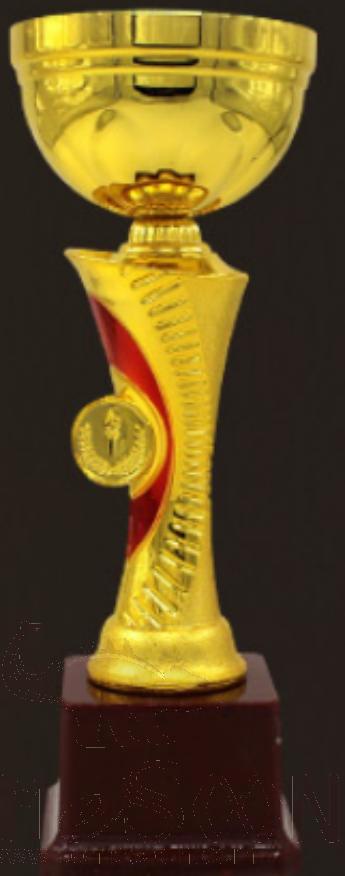 Small Plastic Trophies,
Φ10*H26.5cm, 416G