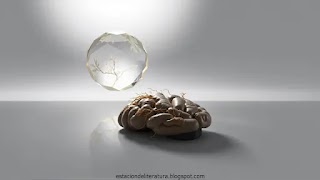 Elige Tu Voz Narrativa: Guía para el Punto de Vista Perfecto