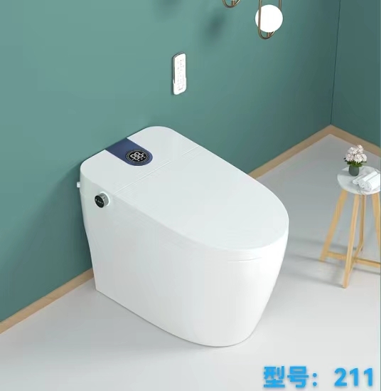 Smart Toilet, Simple Configuration(211)