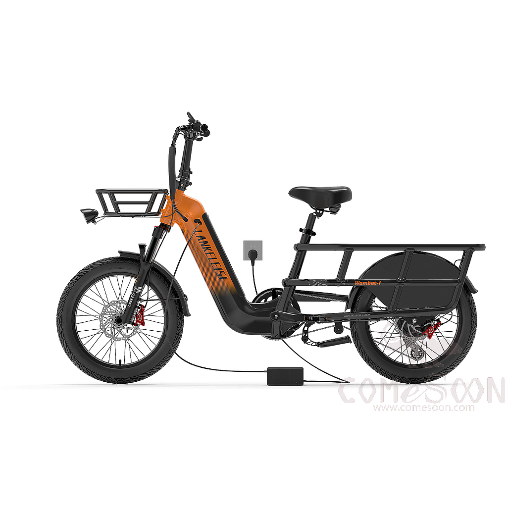 20" Aluminum Alloy Electric Bicycle, 1000w, 48V 20Ah