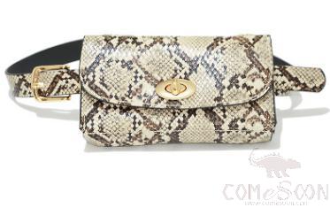 Belt-Imitation Leather product image