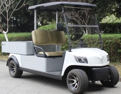 2 Seats Golf Cart with Backup Tray, 48v 5kw, 150Ah LFP Battery(Customized Good Quality)