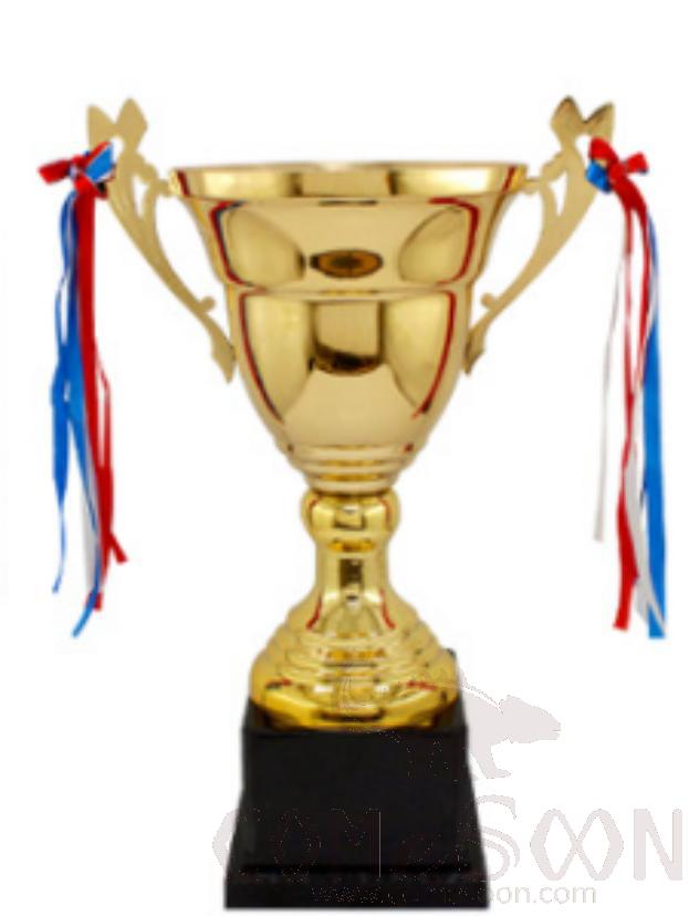 Medium Metal Trophies,
Φ30*H45.7cm, 1135G