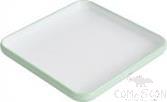 9" Two-Color Square Plate, Light Green White, Mf, 228*228*31mm