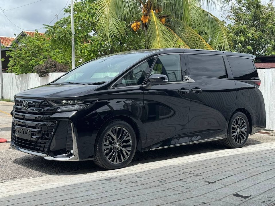 Toyota Vellfire chassis 04606 — gambar 3 daripada 6