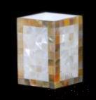Yellow Butterfly Edge White Shell with Teeth Cup, Resin+ Shell, 68*68* 100mm product image