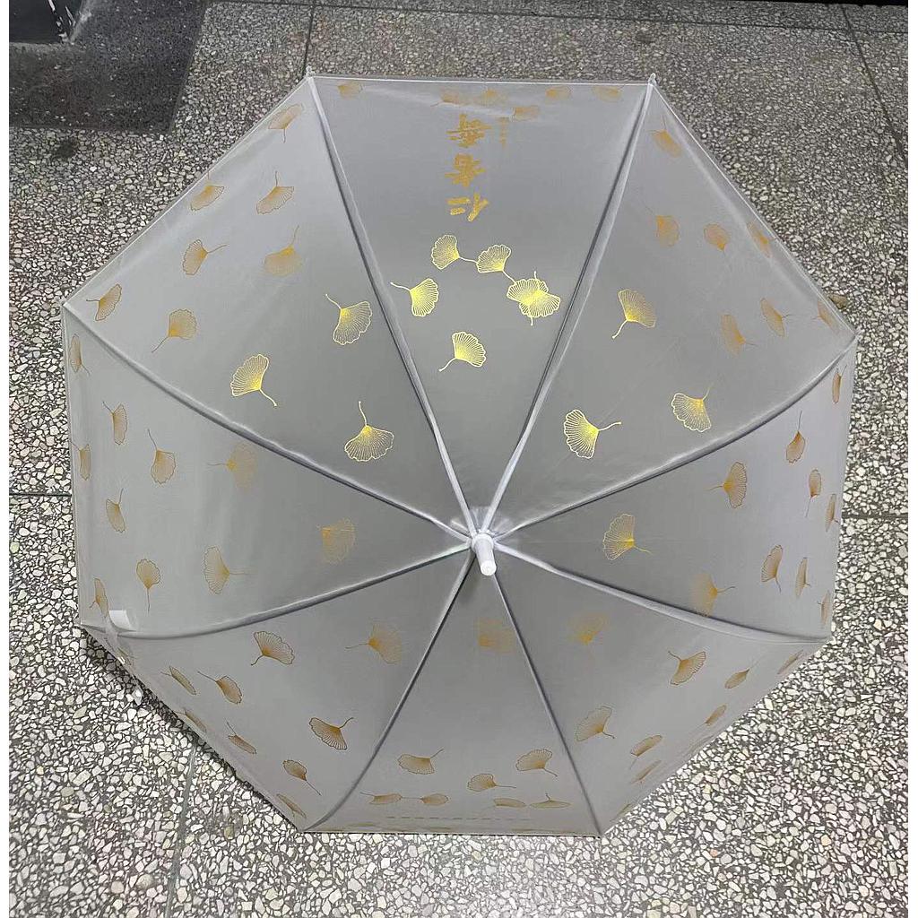 Transparent Umbrella -23 inch
