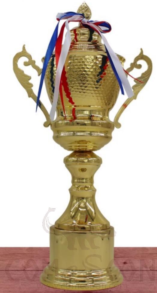 Big Metal Trophies,
Φ16*H53cm, 3KG