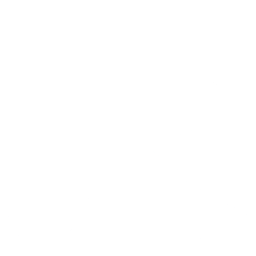 Payment