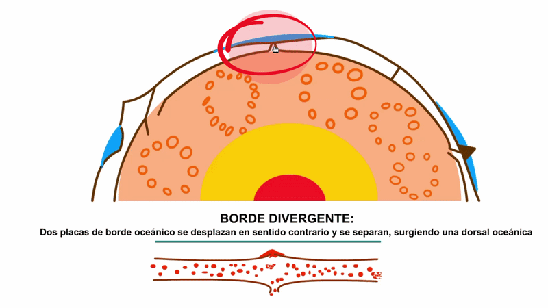 Borde Divergente