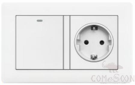 1 Gang Switch+ German Socket