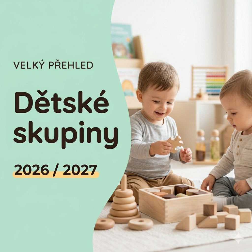 N&aacute;bor DS www n&aacute;hled
