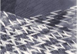 Wilton Carpet-240 * 340 mm
