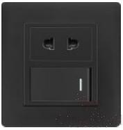 Half 1-stage switch with 10a 2-pole socket