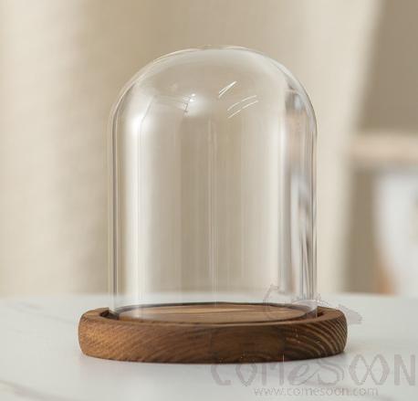 Glass Cover with Wood Base D9*11cm