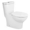 siphonic toilet