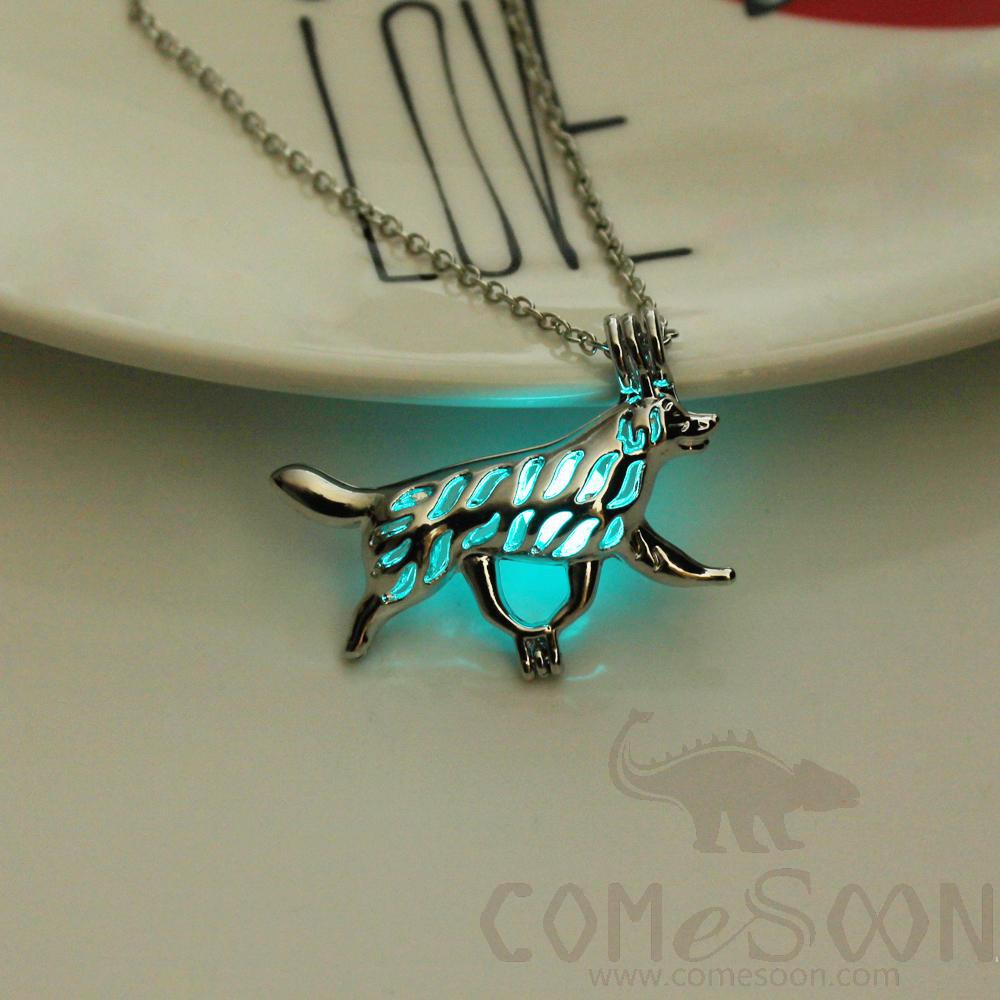 Necklace / Jewelry           Ny648