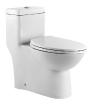 siphonic toilet