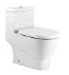 siphonic toilet
