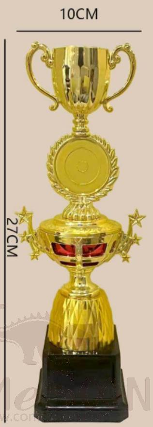 Medium Metal Trophies,
Φ10*H27cm, 1000G