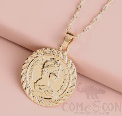 Necklace / Jewelry Nz684 product image