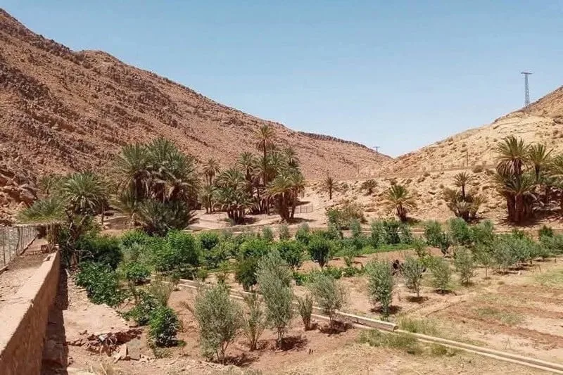 Des habitants marocains accusent l'armée algérienne d'intimidation près de la frontière