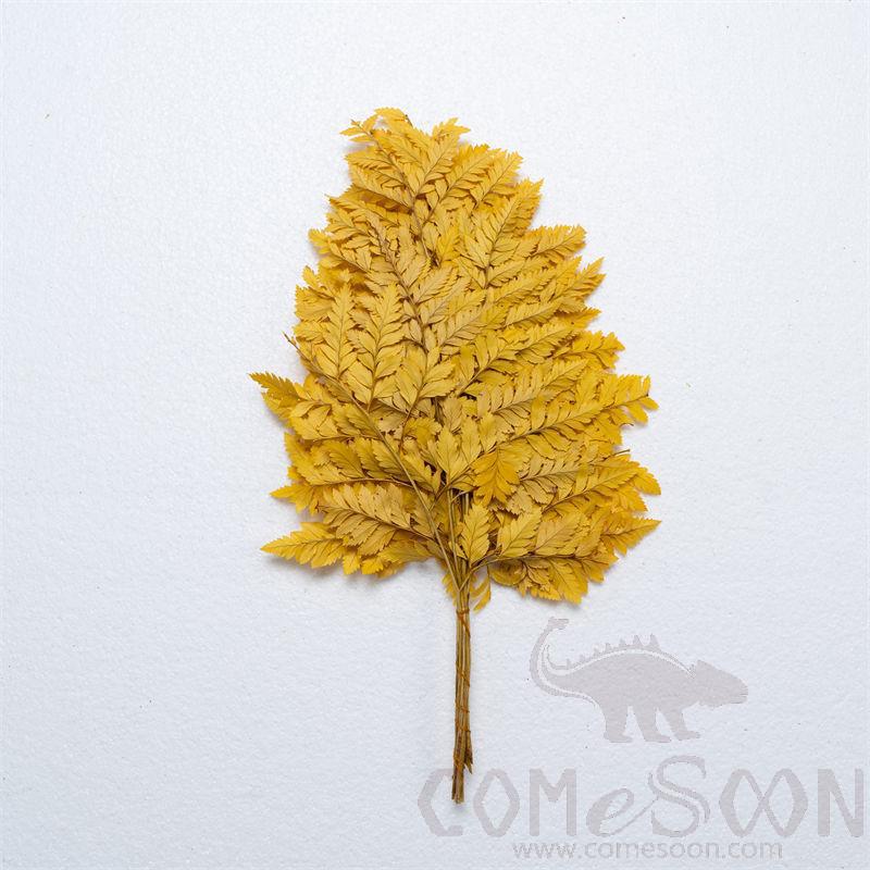 Eternal Flower, H60cm, Yellow (9-10 Pieces)
