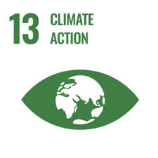 SDG 13 Image
