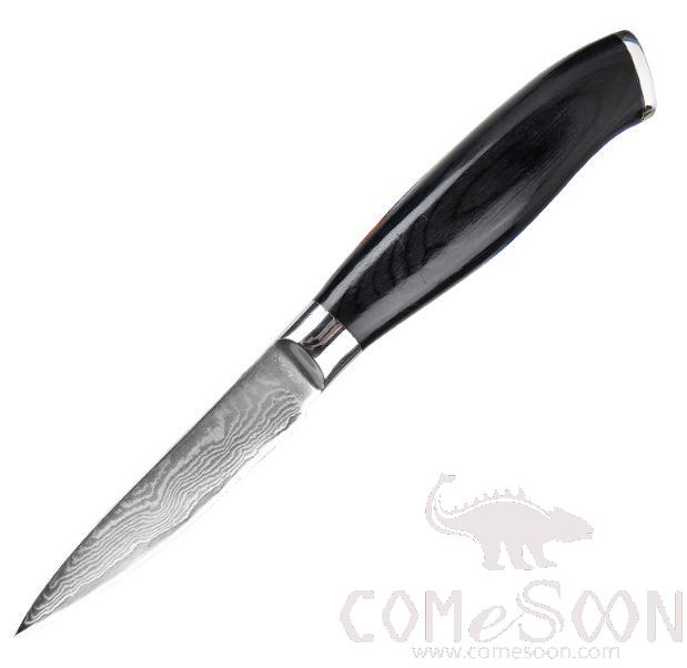 Wn112 Damascus Series Damascus Series Fruit Knife   3.5 inch