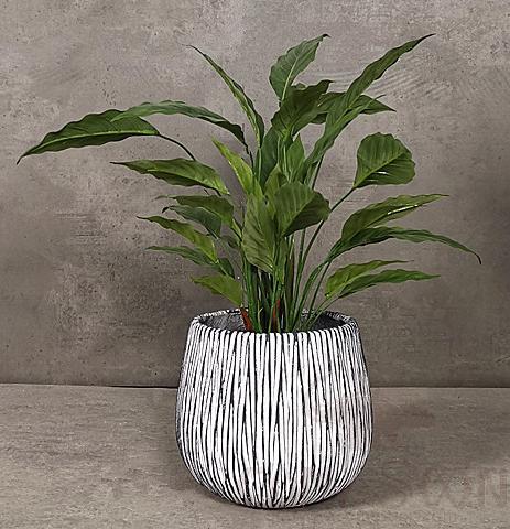 Flowerpot, Cement, 25*25*21cm