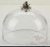 Glass Lid, Φ195*H160mm, Glass, J07-00301