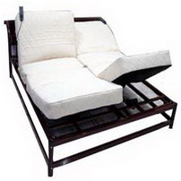 Double Electric Bed product image