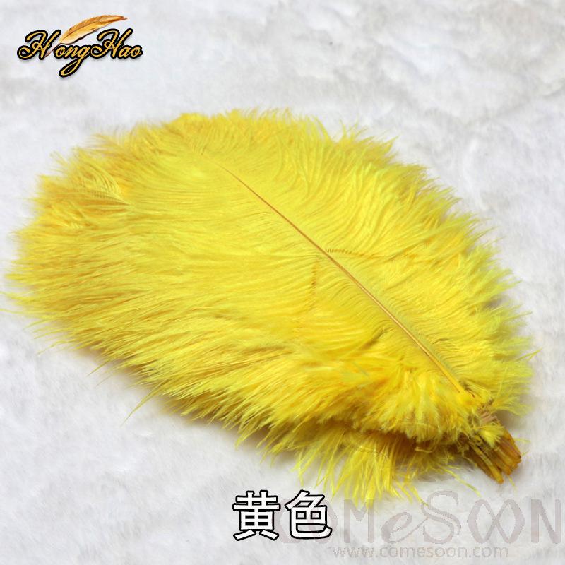Colored Ostrich Feathers, L20-25 cm
