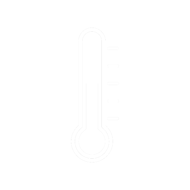 Temperature Icon