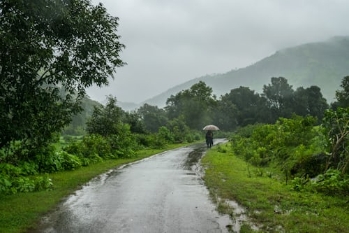 India's Monsoon Boosts Outlook for Agricultural Production