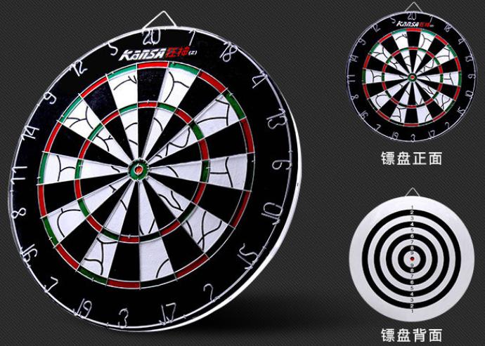 Professional Competition Darts Set