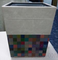 Dust Bin