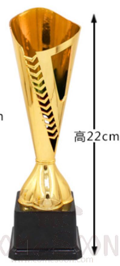 Small Plastic Trophies,
H22cm, 107G