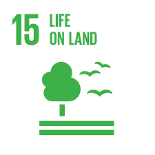 SDG 15 Image