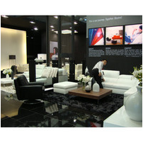 Living Room Sofa