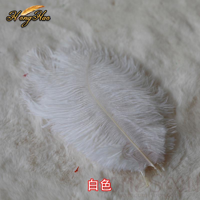 Colored Ostrich Feathers, L15-20 cm