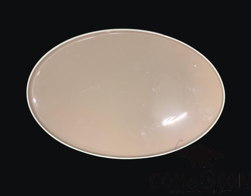 G157 Series 16" Fish Plate-Pink