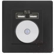 Night light with light sensor with two USB