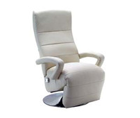 Lounge Chair