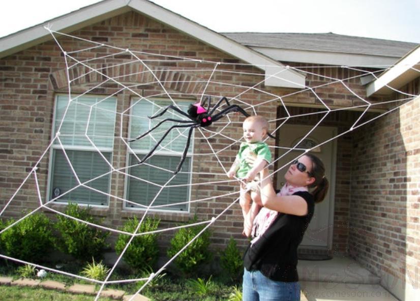 Spider Web, Halloween