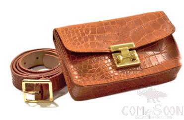 Belt-Imitation Leather product image