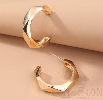 Earring / Dangler / Eardrop / Jewelry Ne785